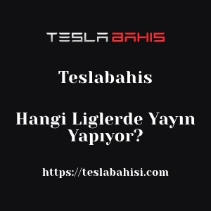 Teslabahis Hangi Liglerde Yayın Yapıyor?