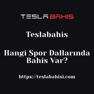Teslabahis Hangi Spor Dallarında Bahis Var?